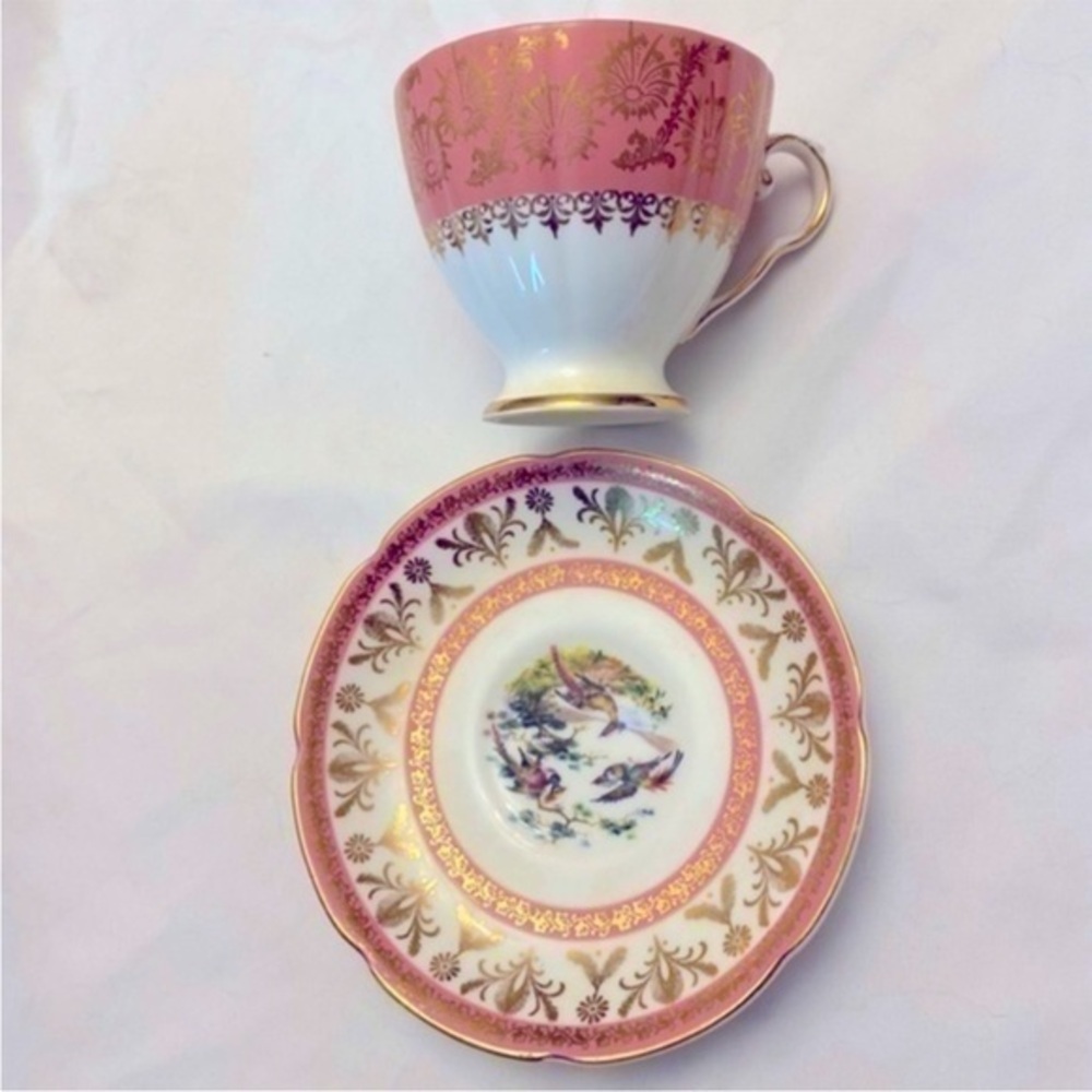 Vintage ROYAL GRAFTON Birds Of Paradise English fine bone china tea cup saucer